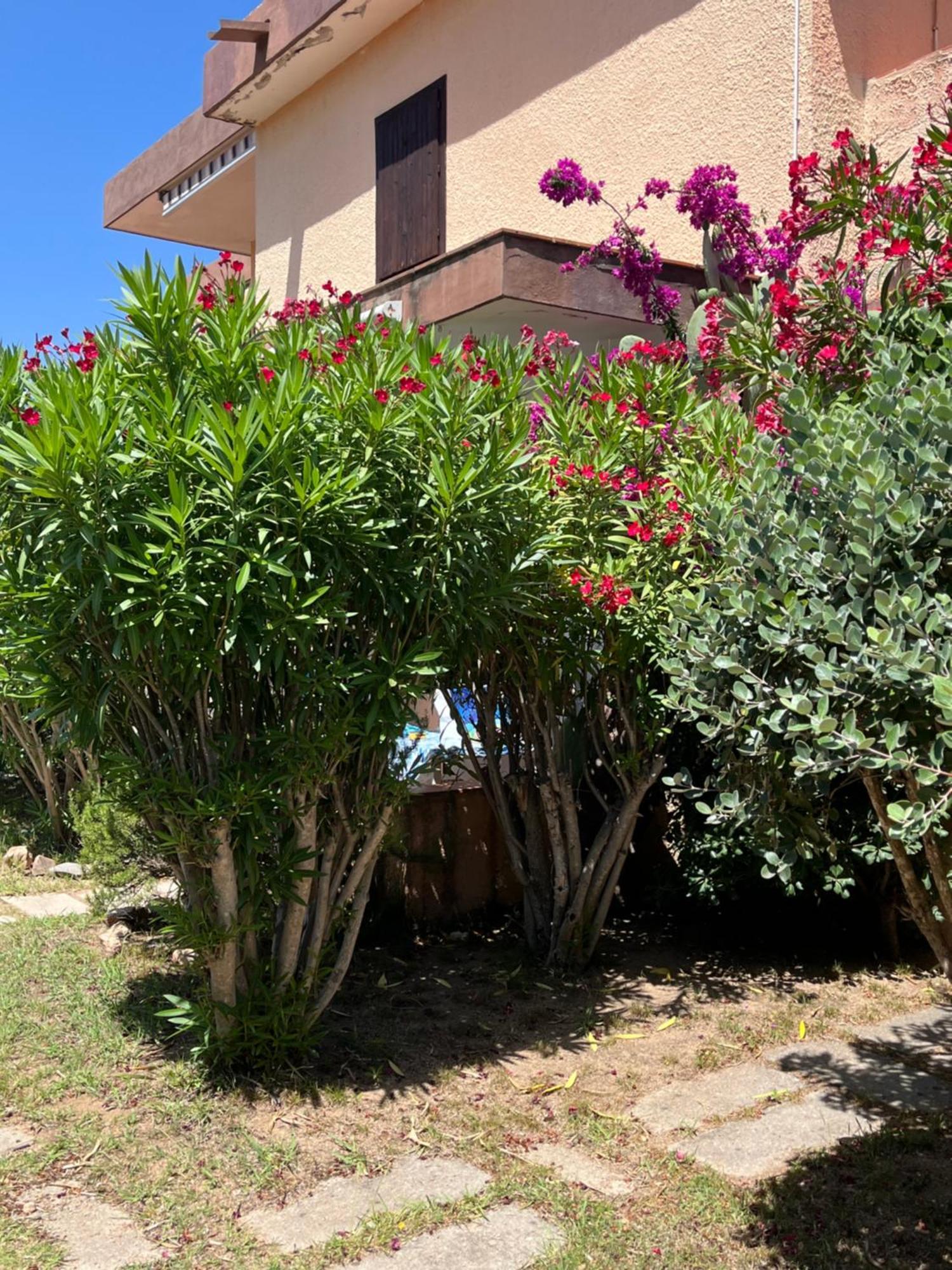 Bilocali Residenza Mediterranea Cannigione Zewnętrze zdjęcie
