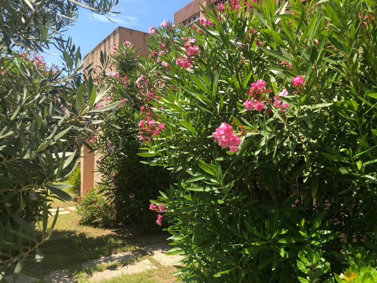 Bilocali Residenza Mediterranea Cannigione Zewnętrze zdjęcie